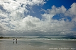 D0043939 © Paul Kay