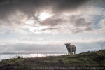 D0065693 © Paul Kay