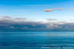 D0101860 © Paul Kay