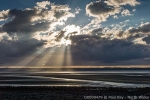 D0099479 © Paul Kay