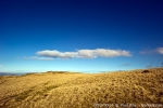 D0079916 © Paul Kay
