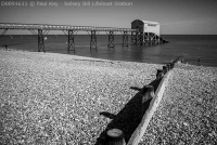 D0091611 © Paul Kay