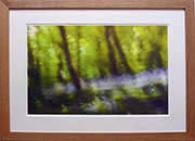 Framed01